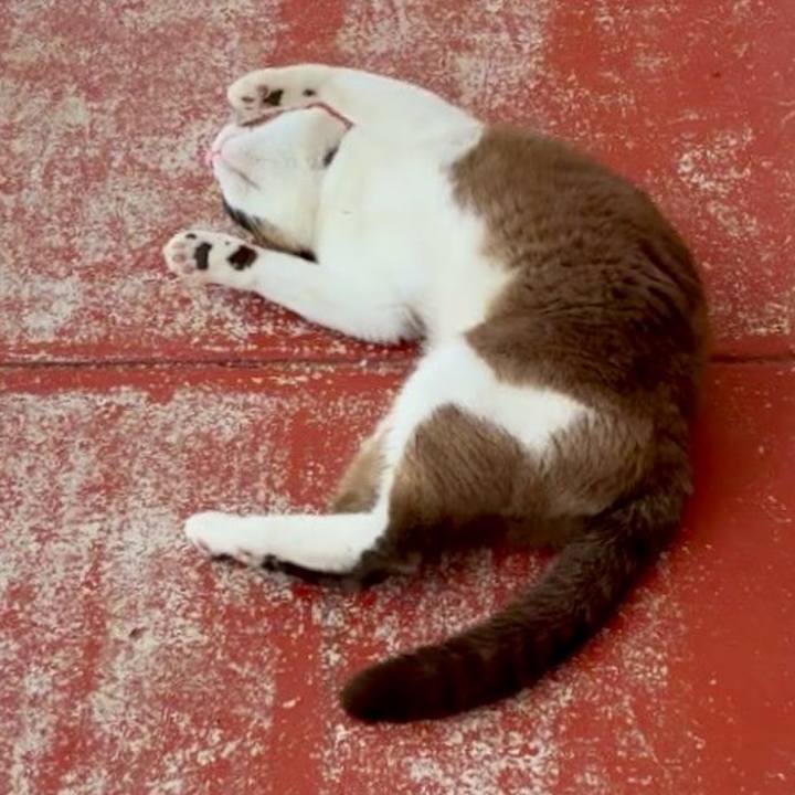 1c993cad 0d39 4e10 8957 966ad01c5cb8 1751942546332