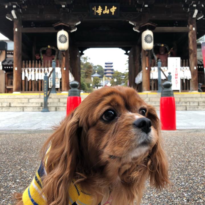 1c994314 9ea3 42ef a465 5e85db5a455c 1643418244390