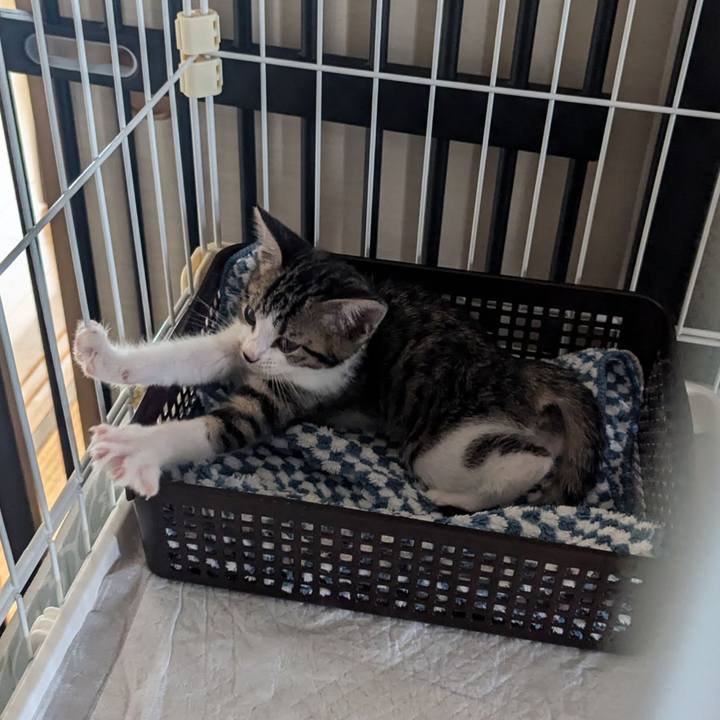 1c99565e 1a30 4290 96db 6d1fb5ad018e 1719299820811