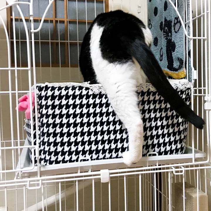 1c99a4b8 2784 4228 85c6 bc07c9155d50 1518139324012