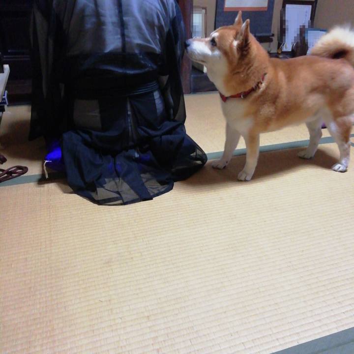 1c99bf27 55b9 496f a8dd 7e8b3bb543c2 1597370842765