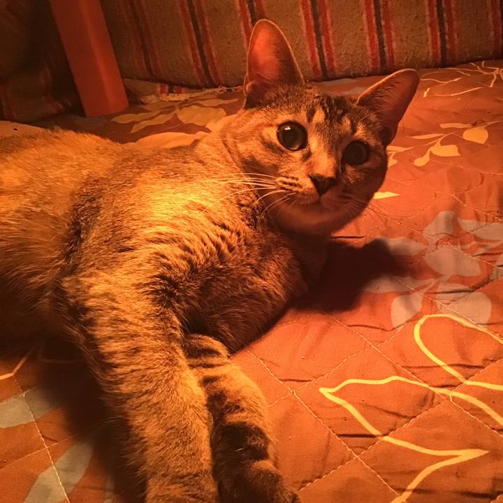 1c99c118 28cd 4339 99b7 1b3a8605cb38 1577053717243