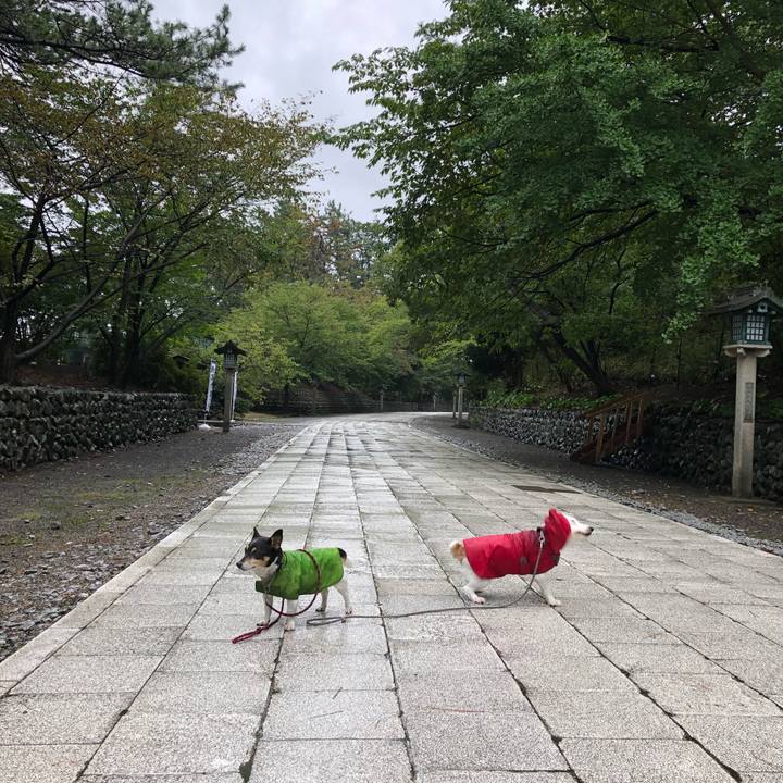 1c99ca7c bc1b 4d8d bc20 938fb1269d97 1537830012320