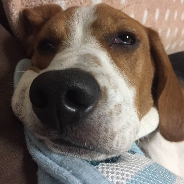 1c99e29f da65 4f7b ad6b 1925be6f3107 1524446000964