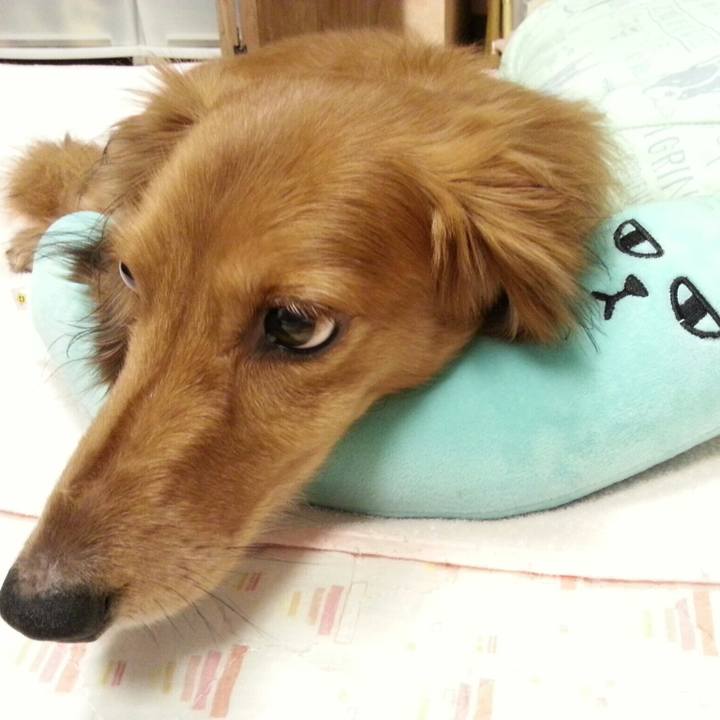 1c99fb1a 3386 40ad abbc ce53cbac15b5 1526906650802