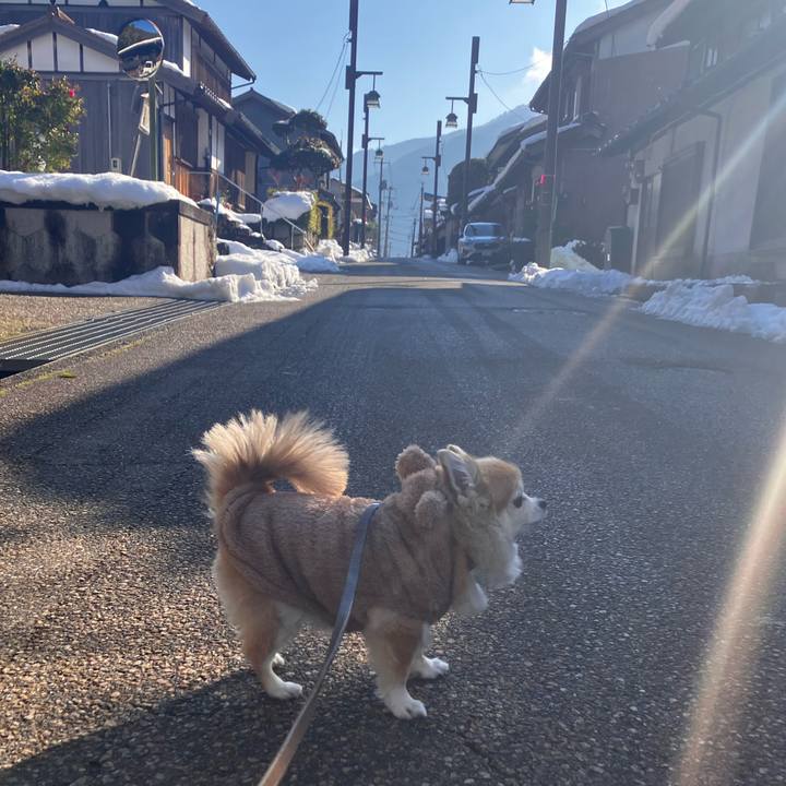 1c9af331 8b8a 4008 a078 f45c85408609 1767009005142