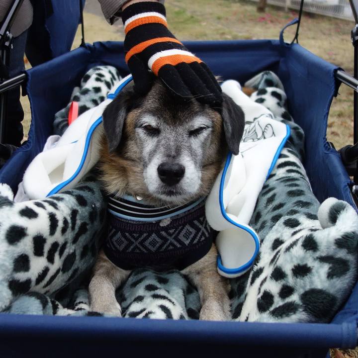 1c9b0ae2 98ec 4884 b467 31da023f2f31 1575682295862