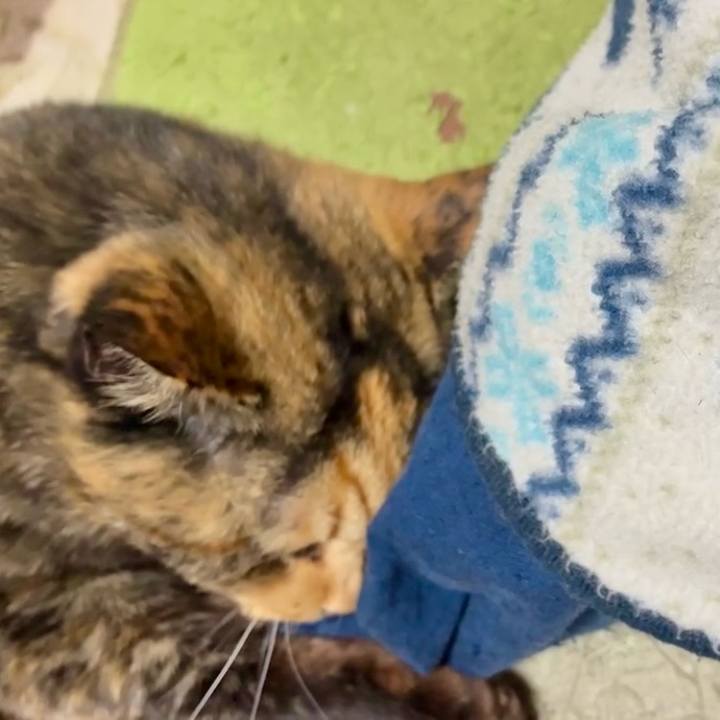 1c9b4b05 f653 409f 9297 dd419a8dad5c 1763929868225