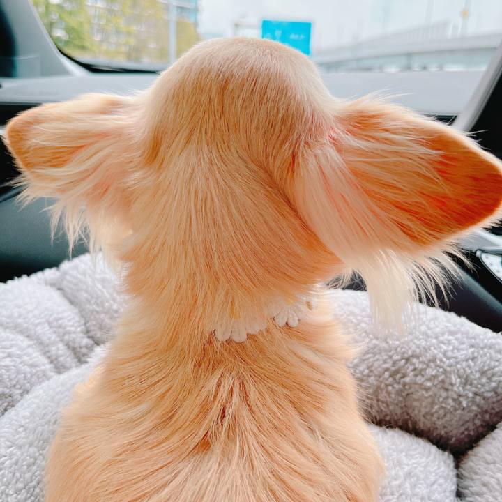 1c9b5a2e a9d7 487b befb f9e452a61f48 1648968796599