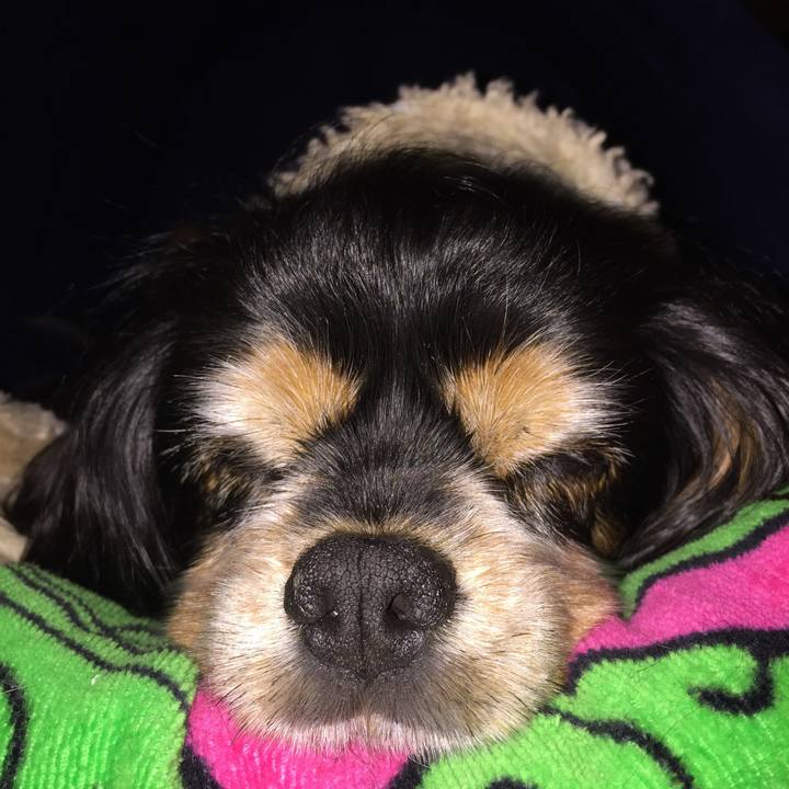 1c9b6173 8575 47cb becb 2d1681033512 1523713189698