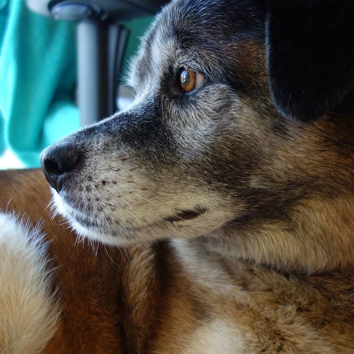 1c9b66cd 3555 4e27 be3f 821b109c298f 1638060911943