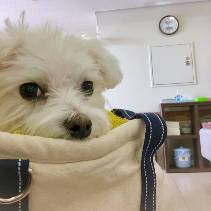 1c9b71b3 8fd7 4cdd 87e4 b3e3df8f6234 1548721519143