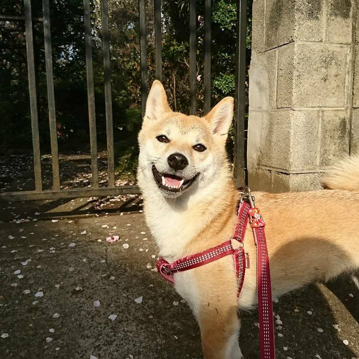 1c9b9d8b faee 4902 a28e 3839342b5165 1521082054766