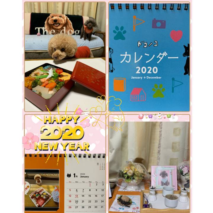 1c9bc761 90ff 41db b0f6 a6affb14271e 1577830533014