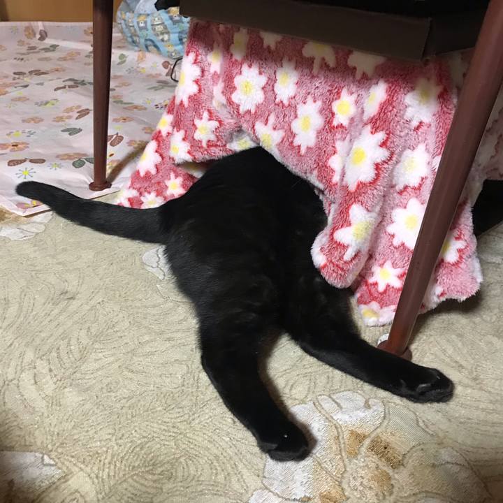 1c9c3887 27eb 4604 b683 8e363440e54d 1548667233754