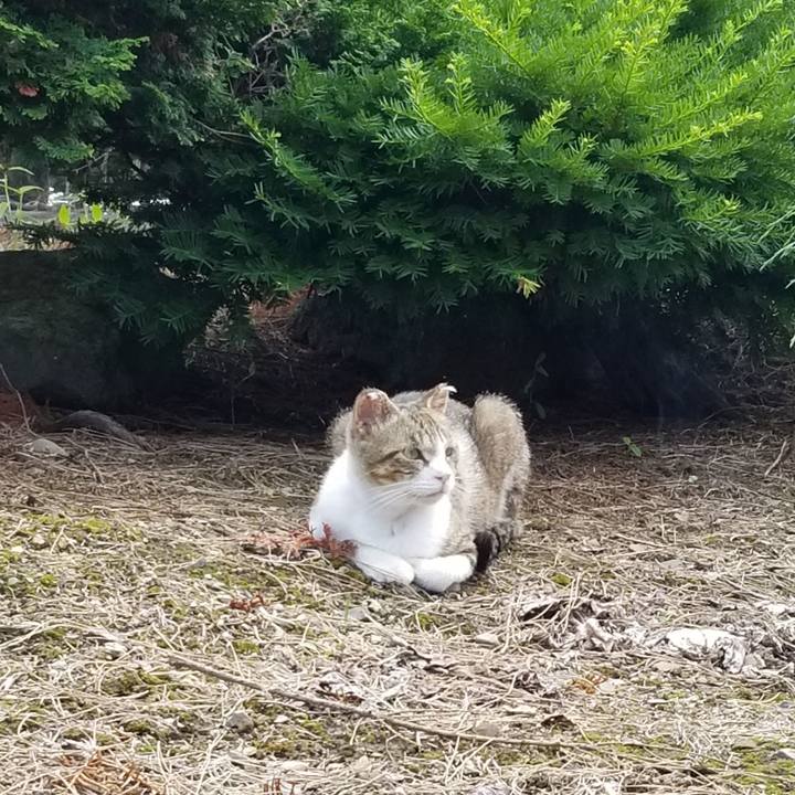 1c9c5975 90e8 43fa b870 1f049afa7a2e 1658737167304