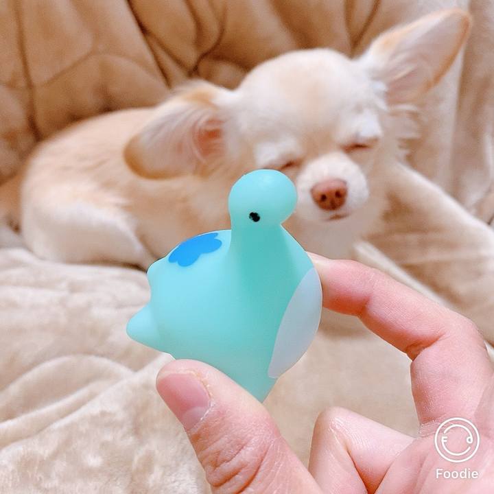 1c9c64dc 4c21 4e81 a7bb ba97b29c8abe 1608807605182