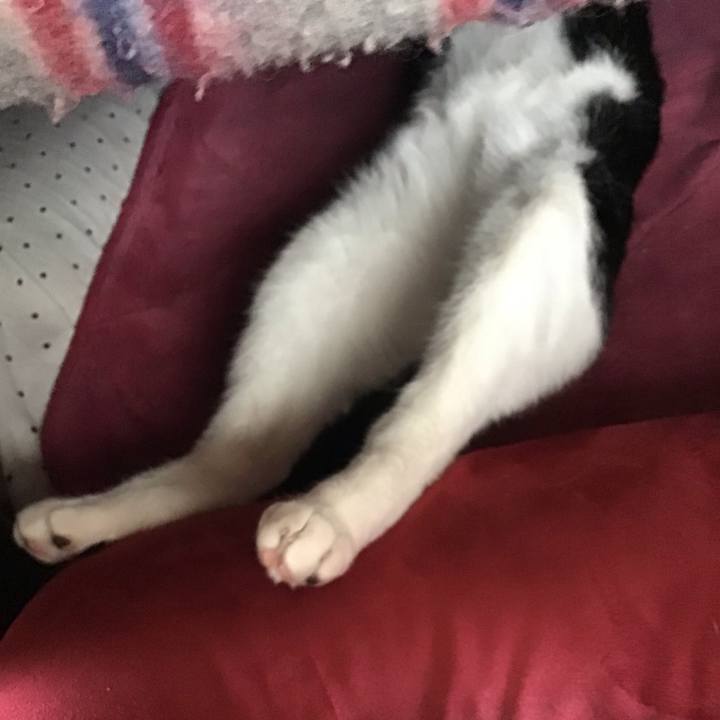 1c9cb3ea b64f 47f4 8cac 35961edc29bd 1652236035663