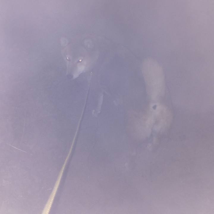 1c9cb810 c07b 42cf bd63 a215cb5e2bbe 1547802240024