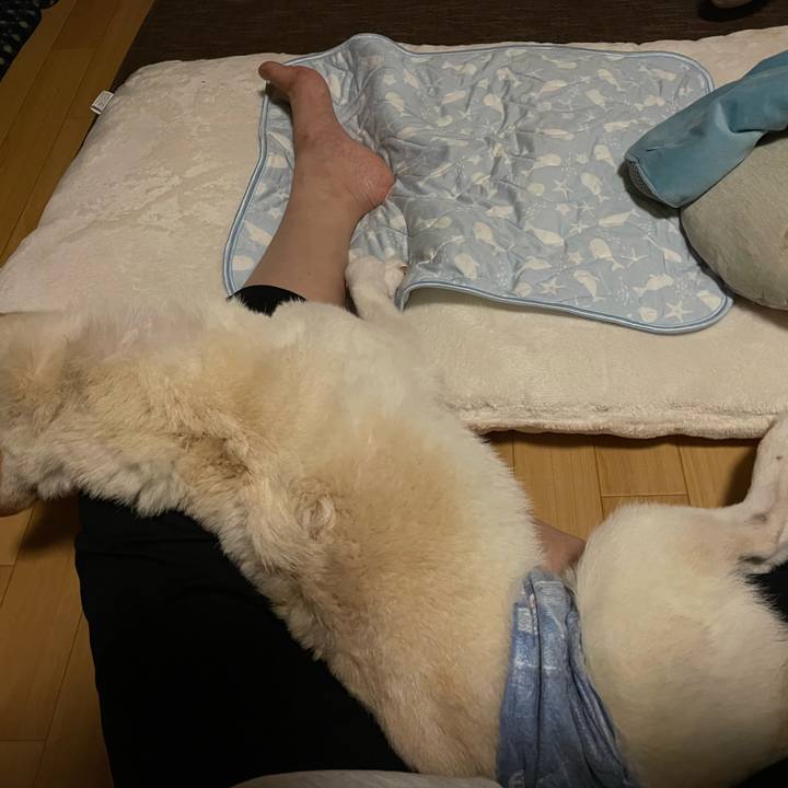 1c9cb9db ea54 4ac5 8fa3 a9d6c4d42d02 1662388056619