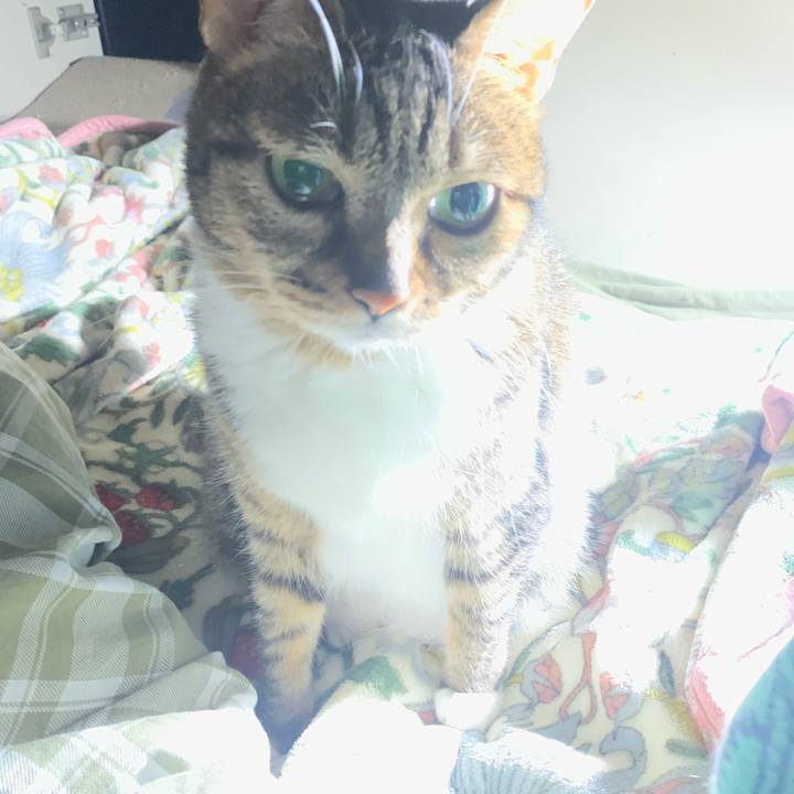 1c9cb9eb 447b 4cc5 99f4 63e869605547 1738193817808