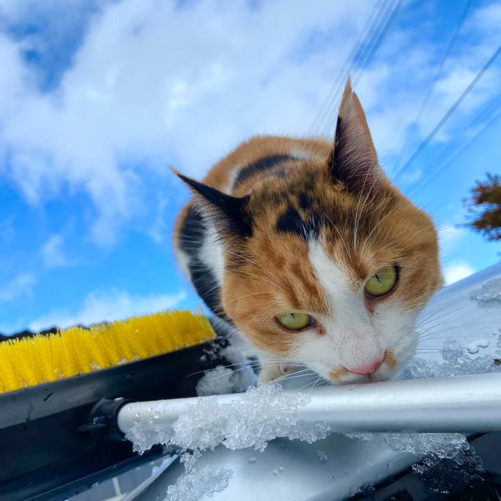 1c9cec8e 3775 4d64 915f fd8c53c1748e 1672034179509