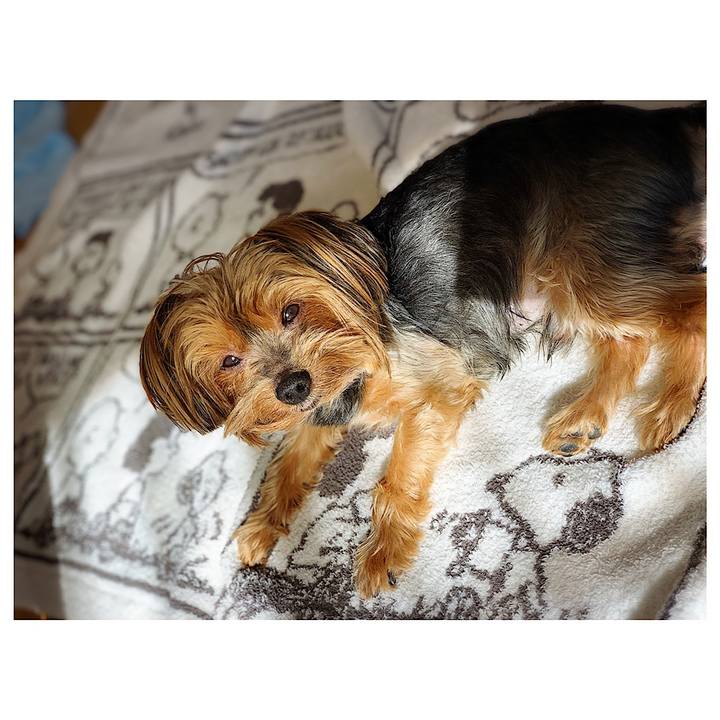 1c9cf5fd 5c4c 4254 b87e 908daf9d6a9c 1575077874182