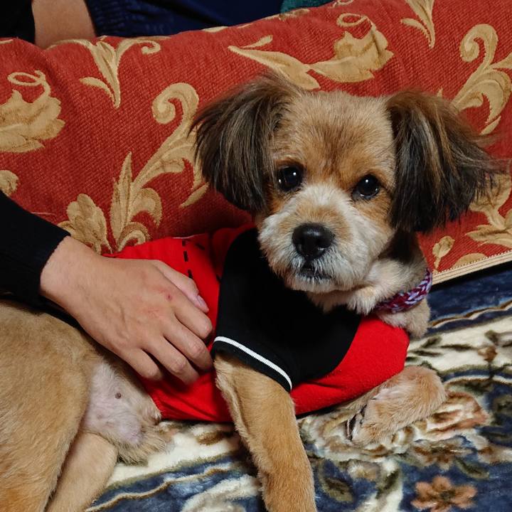 1c9d1b42 f897 48c6 99b8 37d9223929f9 1575977717172