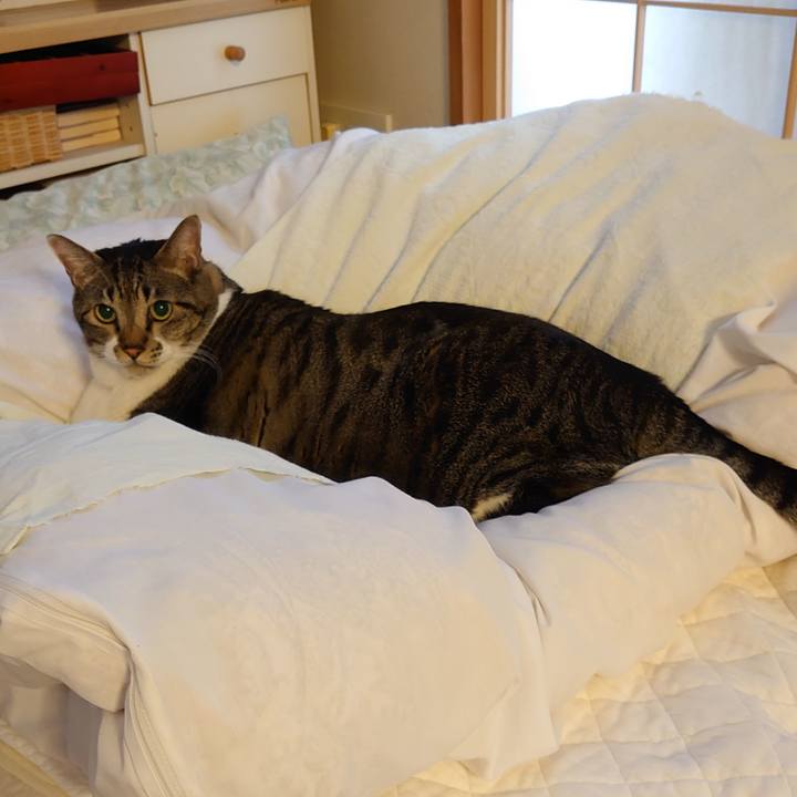 1c9d6615 3943 4f4d 9d79 a85bc6f26a60 1635293289797