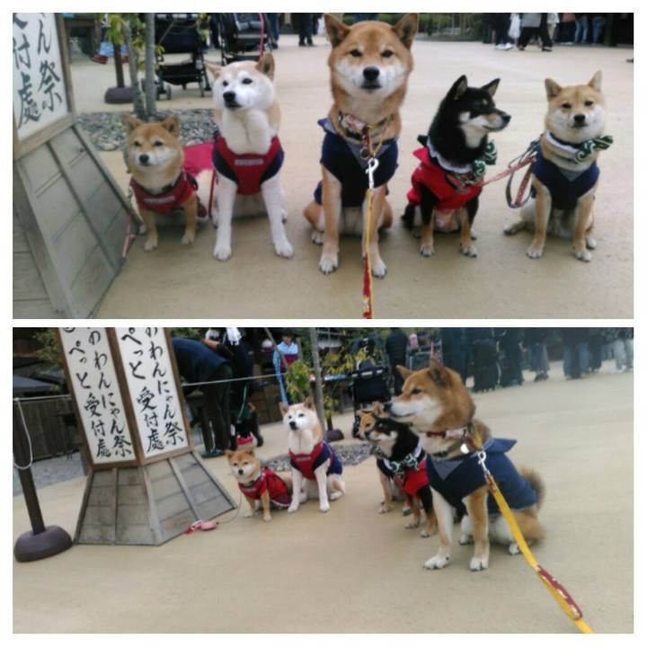 1c9d6cad 94bd 466c bd0c bda6ca146218 1523708787334