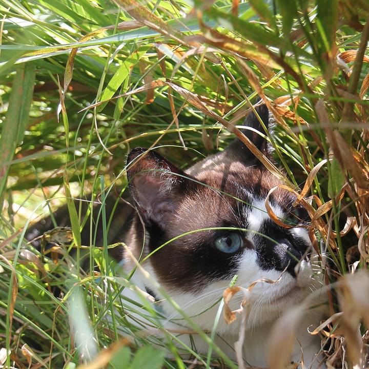 1c9d80c1 77b6 4b49 9cbd ef9579c4d6d5 1509630934062