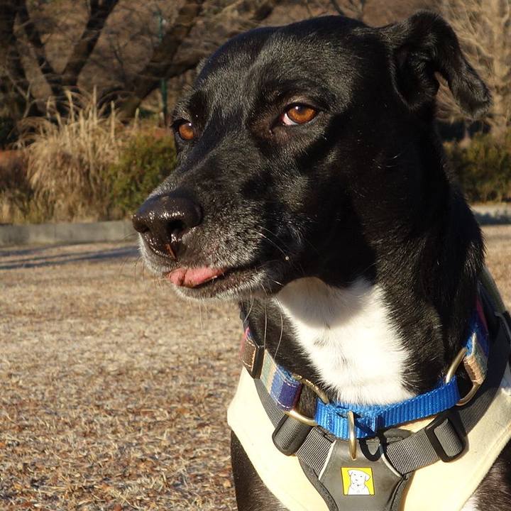 1c9db206 dfaa 418a be66 30dd7e242503 1642640901121