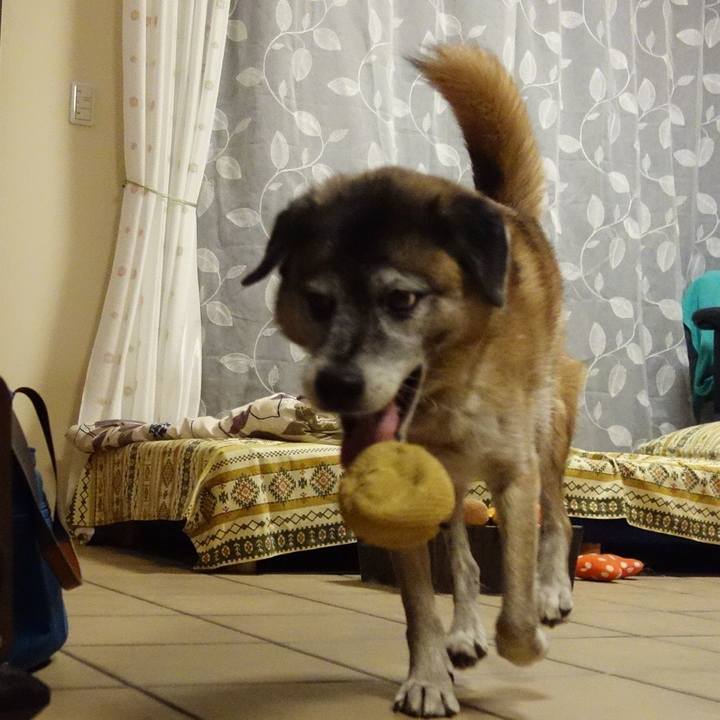 1c9dd5aa a696 4981 a100 4c888f1662d2 1679705199204