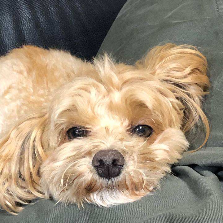 1c9dd8b5 e0a1 4f30 86c0 69bfe4578b82 1605976284983