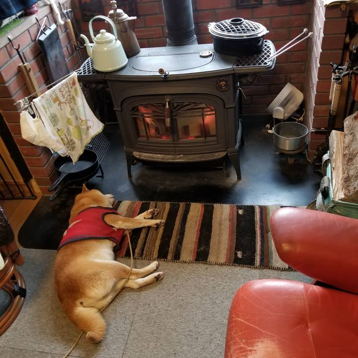 1c9dfa39 7b7b 4feb 964a 4fa6daa4b408 1608333861210