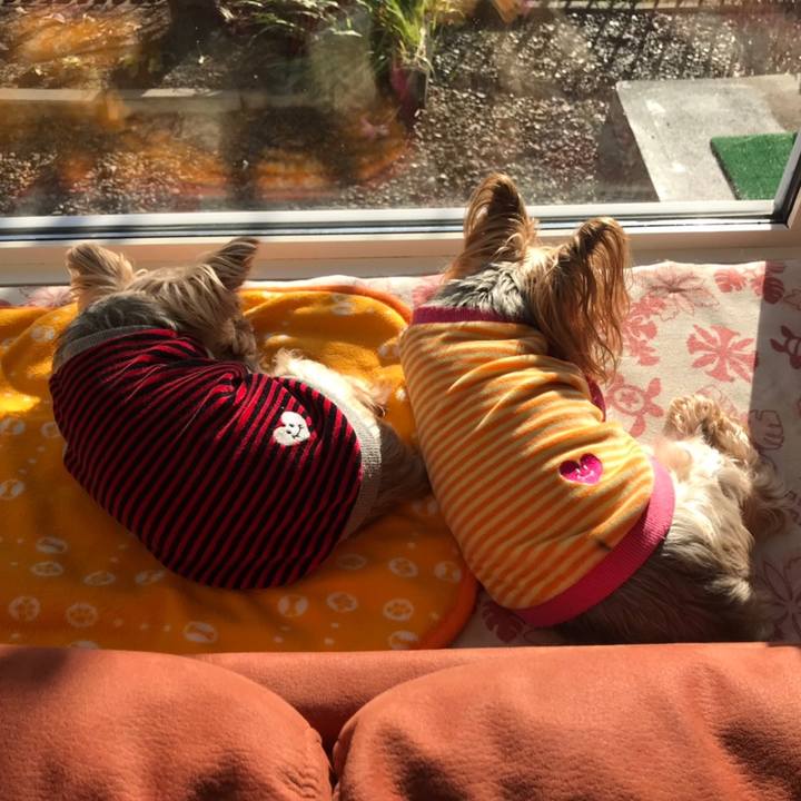 1c9e118b 0694 42bf a828 a3678a223afb 1602837540136