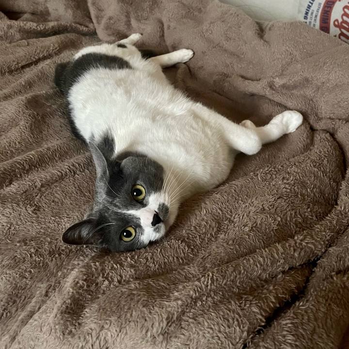 1c9e2d59 2914 460a bd3d 1a3dd328ad7d 1681282665524