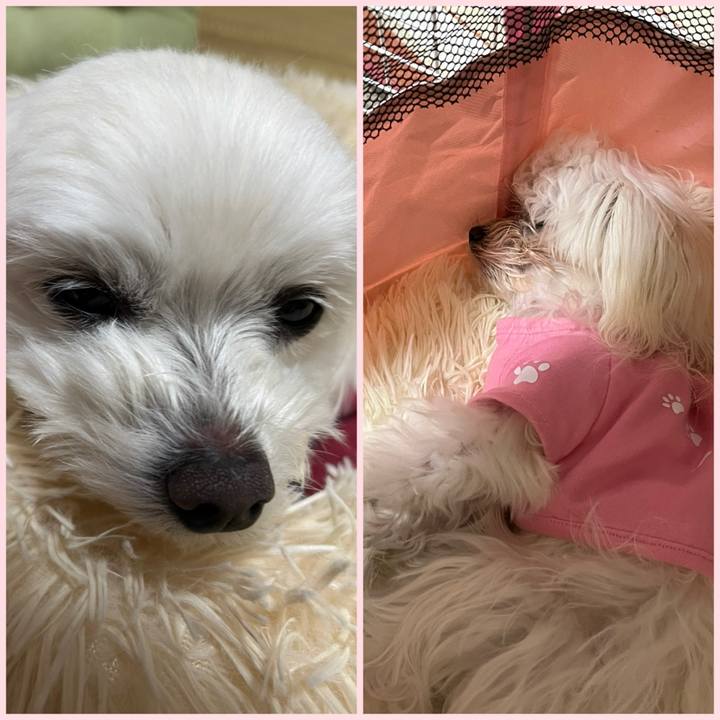 1c9eadb1 7b8c 4651 b3de dcd83ca75e60 1710333261806