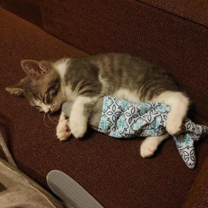 1c9eb6cd 5da2 4f64 9606 d69badffe5b2 1561472244436