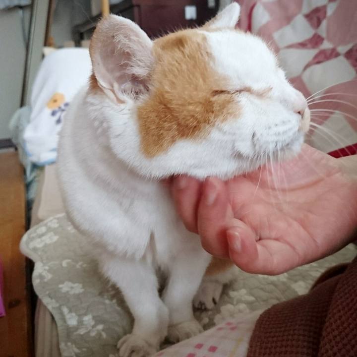 1c9ec6a2 f221 4a0b 9a11 8e8340030bd5 1680946584223