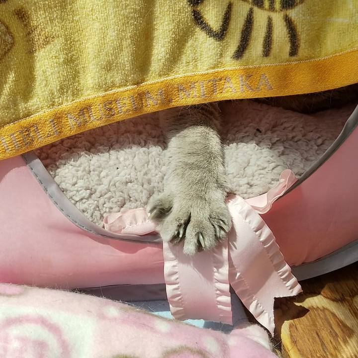 1c9ee6ce 29a2 4268 950a 0a5e936f6034 1619227368053