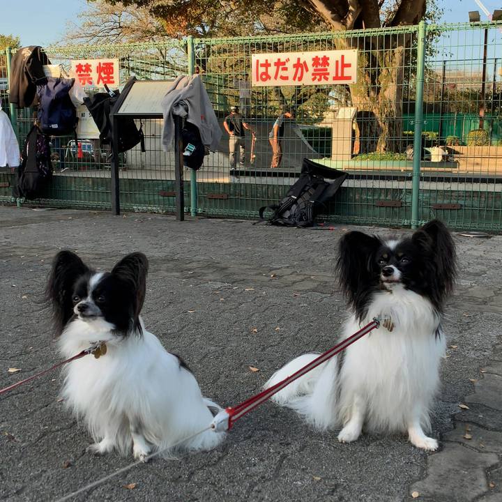 1c9eed33 bdd9 4065 a3b2 8e78883e5efe 1540108425170