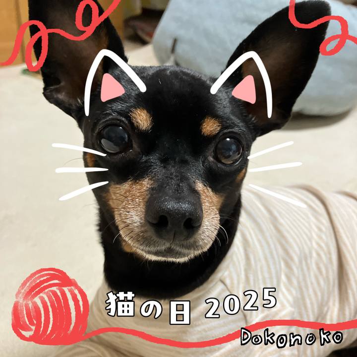 1c9f2904 e1fa 43d6 a212 a5e8b75fa34e 1740219633775