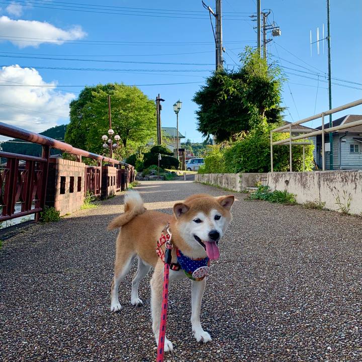 1c9f6823 5170 423b 880b 3c1943575e2f 1631268643887