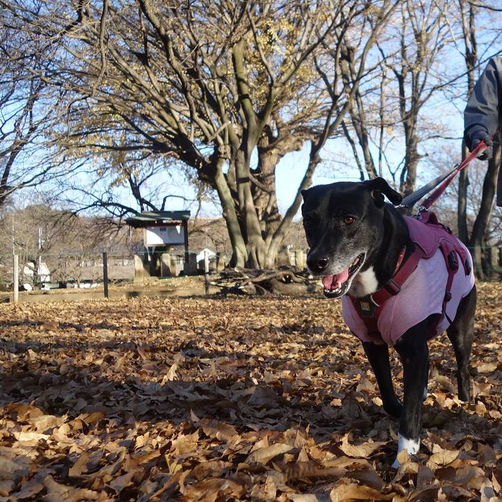 1c9fa15c bd3e 42f0 b0c1 cd8f06010bfd 1703122671541