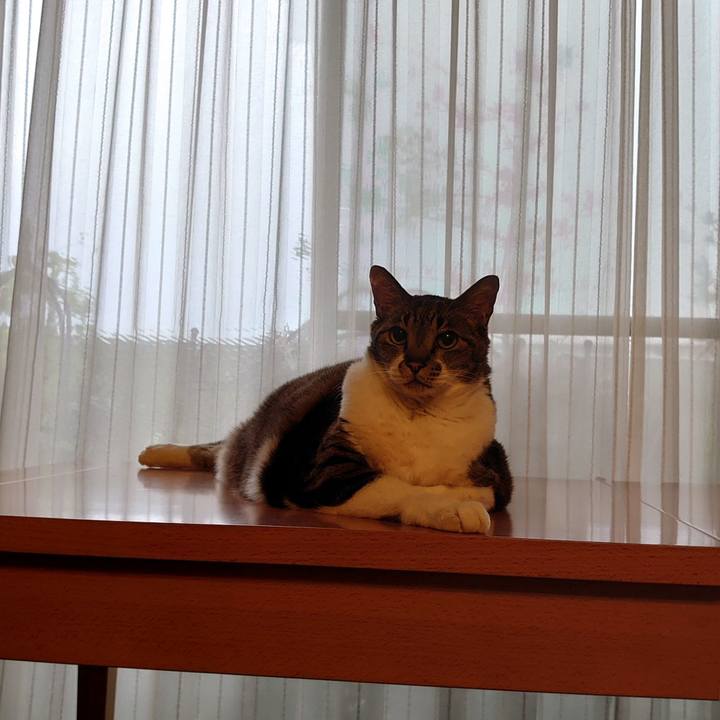 1c9fafa7 ede7 42b3 9a8e 836e14cf8485 1683868716570