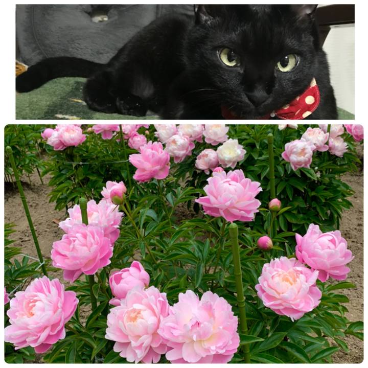 1c9fe0c0 1db4 4e67 a5a5 5abfe730e194 1619263962831