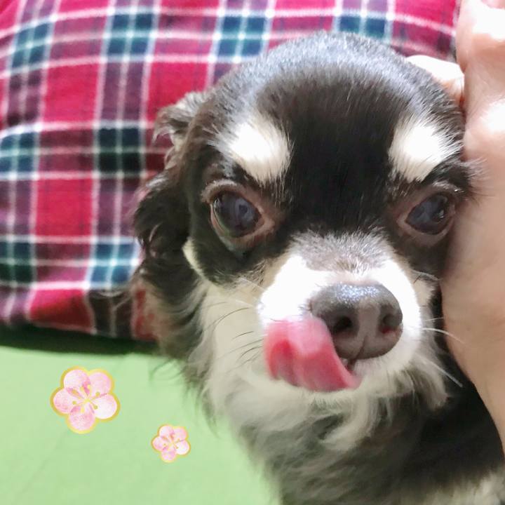 1c9ffe5a a737 4676 911a 6aba46248c4a 1551619153274