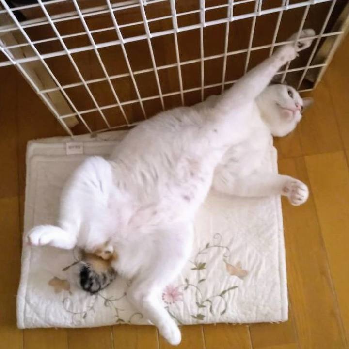 1ca02e04 95b5 4632 8970 78f5f7927f51 1683418016912