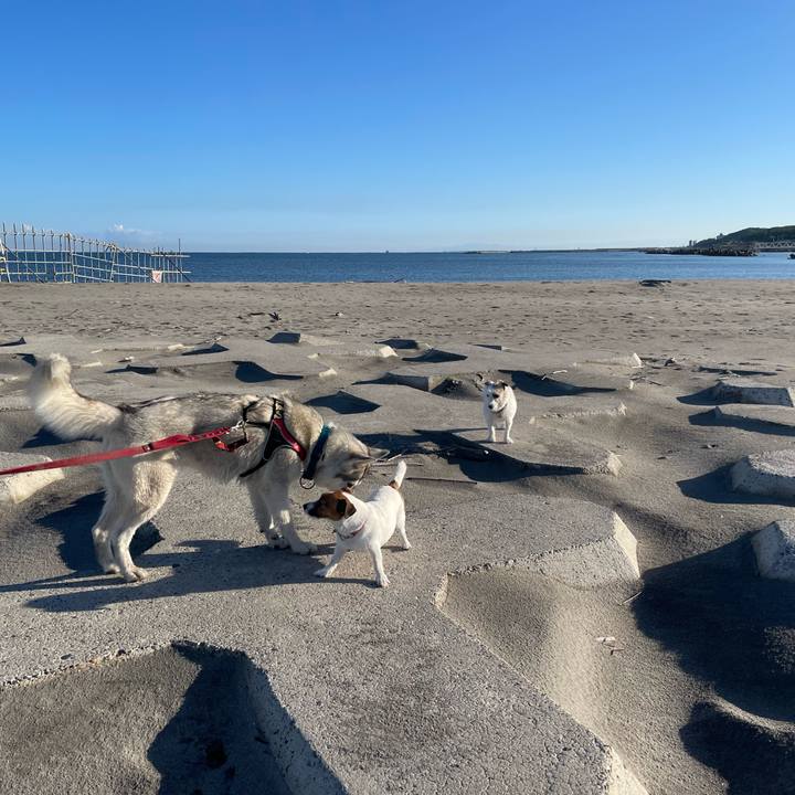 1ca05768 6297 4d37 8720 994189d7bc2a 1728691886192